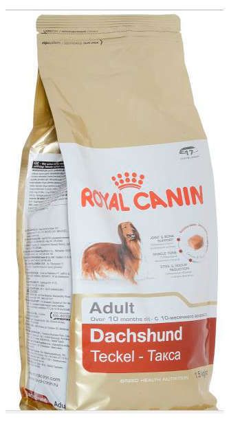 Royal canin 2024 dachshund teckel