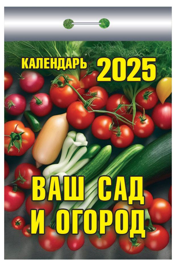 Календарь отрывной Кострома 2025 г, 114х77 мм в ассортименте