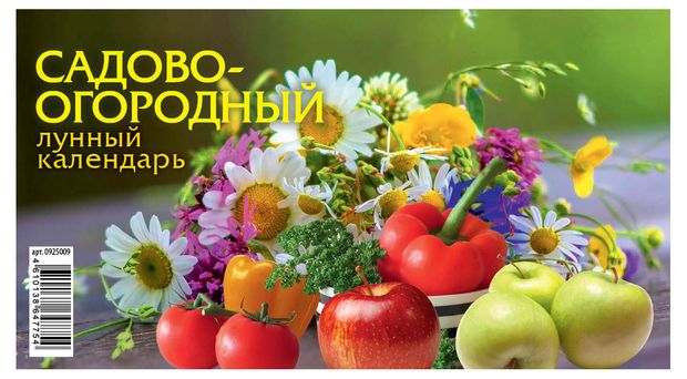 Календарь перекидной настольный Дитон Садово-огородный домик большой 2025 г, 200х140 мм