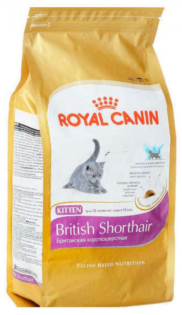 фото Сухой корм для котят royal canin british shorthair kitten, 2 кг