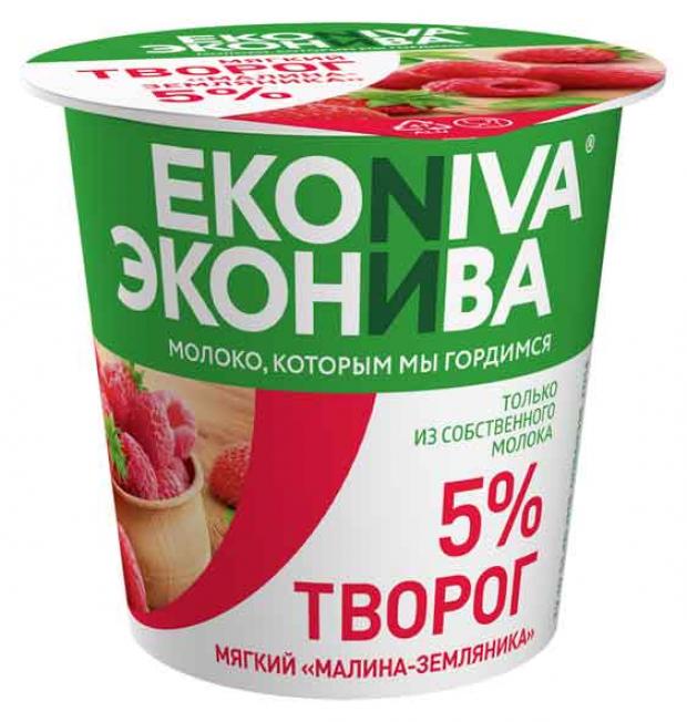 Творог EkoNiva малина земляника 5%, 125 г