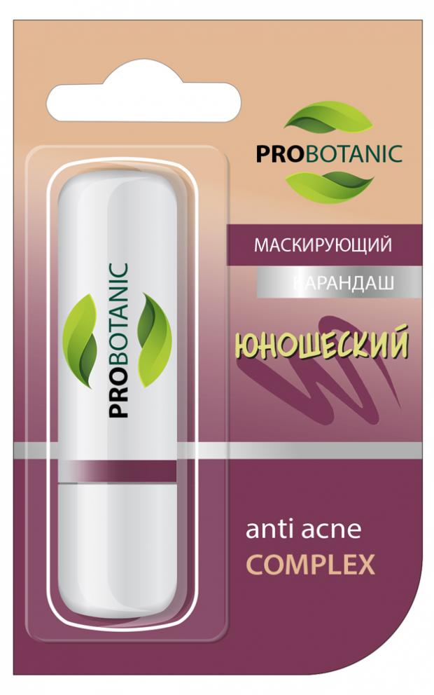 фото Карандаш маскирующий pro botanic юношеский, 4 г probotanic