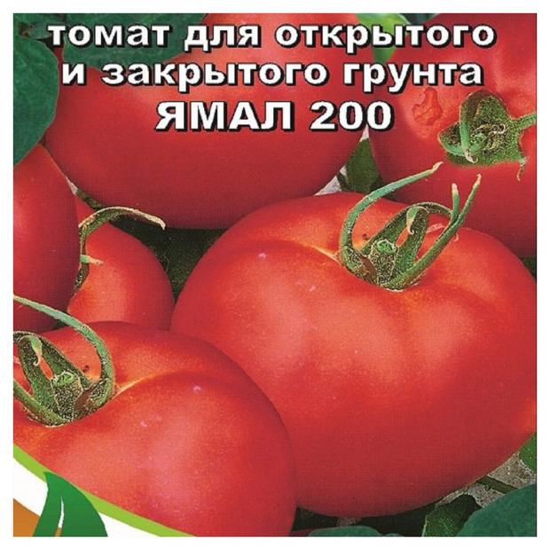 Помидоры ямал описание сорта. Томат Ямал 200. Томат Ямал красный. Томат Ямал Блу.