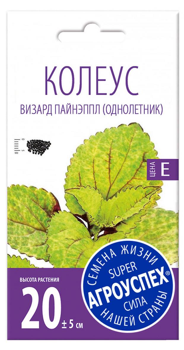 

Семена Колеус «Агроуспех» Визард Пайнэппл, 10 шт