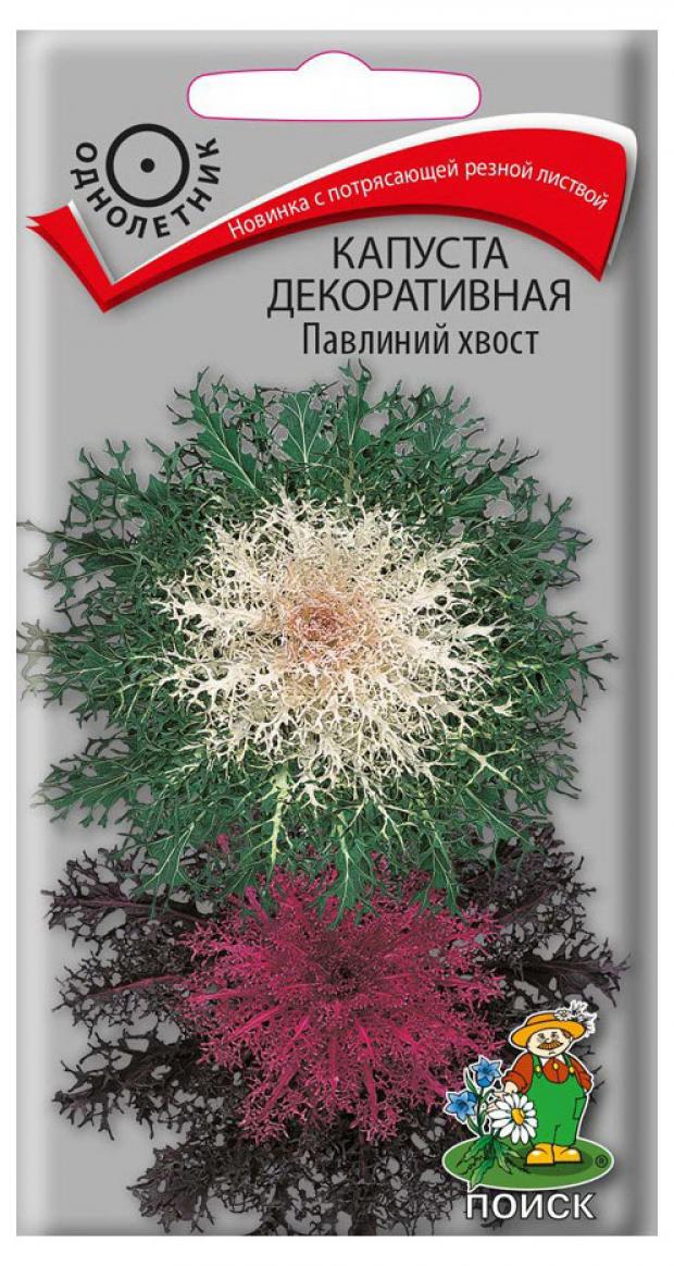 

Семена Капуста декоративная «Поиск» Павлиний хвост, 7 шт