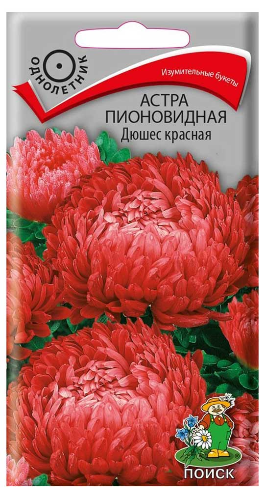 Семена Астра пионовидная «Поиск» Дюшес красная, 0,3 г