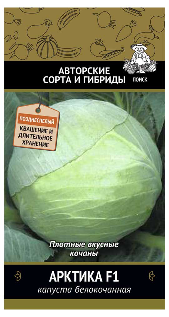 Семена Капуста белокочанная «Поиск» Арктика, 0,2 г