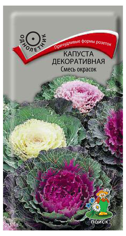 Семена Капуста декоративная «Поиск» смесь окрасок, 25 г
