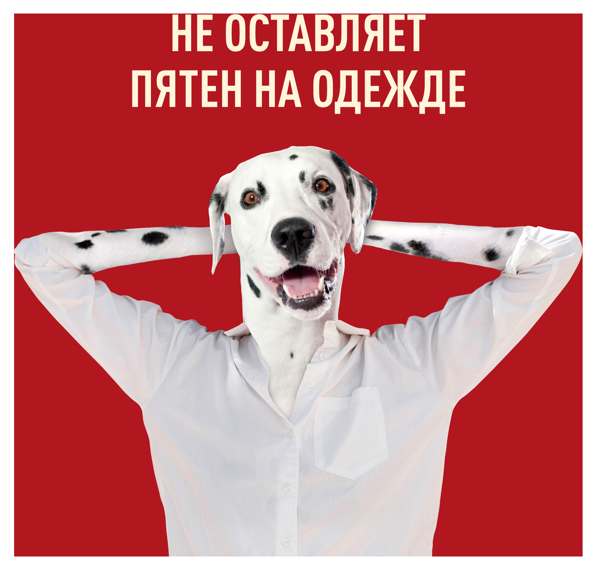 https://www.auchan.ru/files/original/25122855