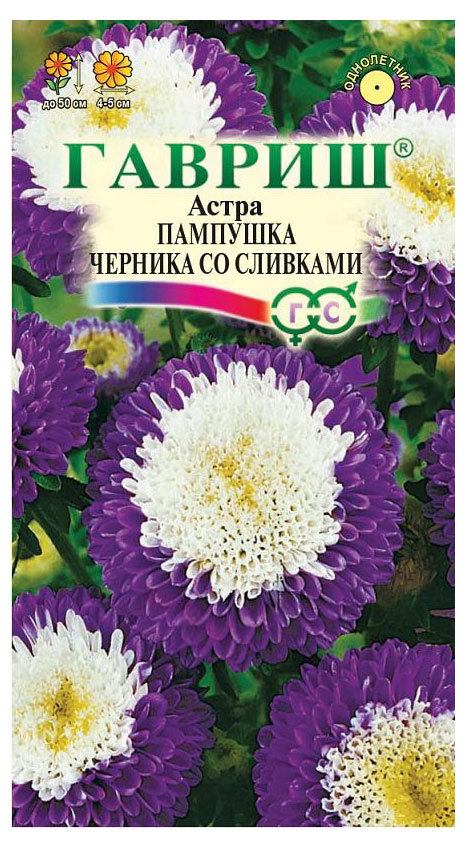 Семена Астра помпонная «Гавриш» Пампушка черника со сливками однолетняя, 0,3 г