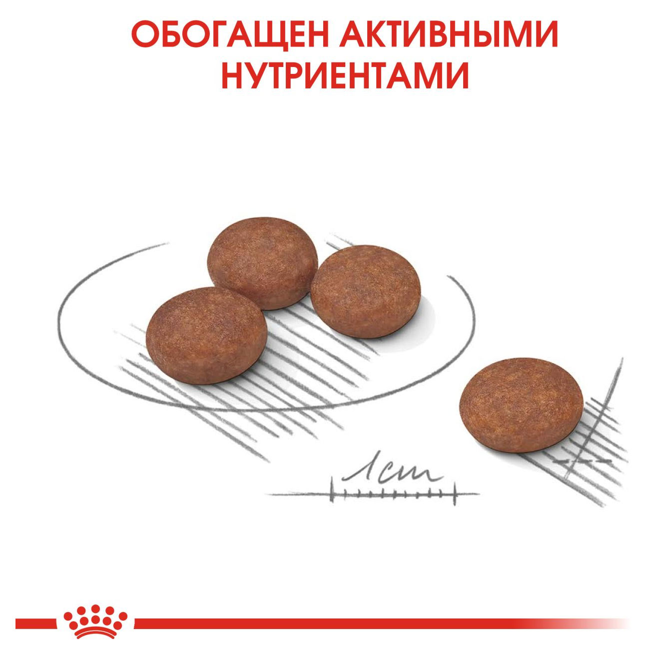 https://www.auchan.ru/files/original/25199153