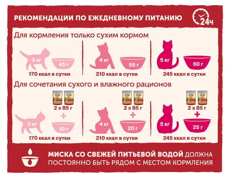 https://www.auchan.ru/files/original/26507806