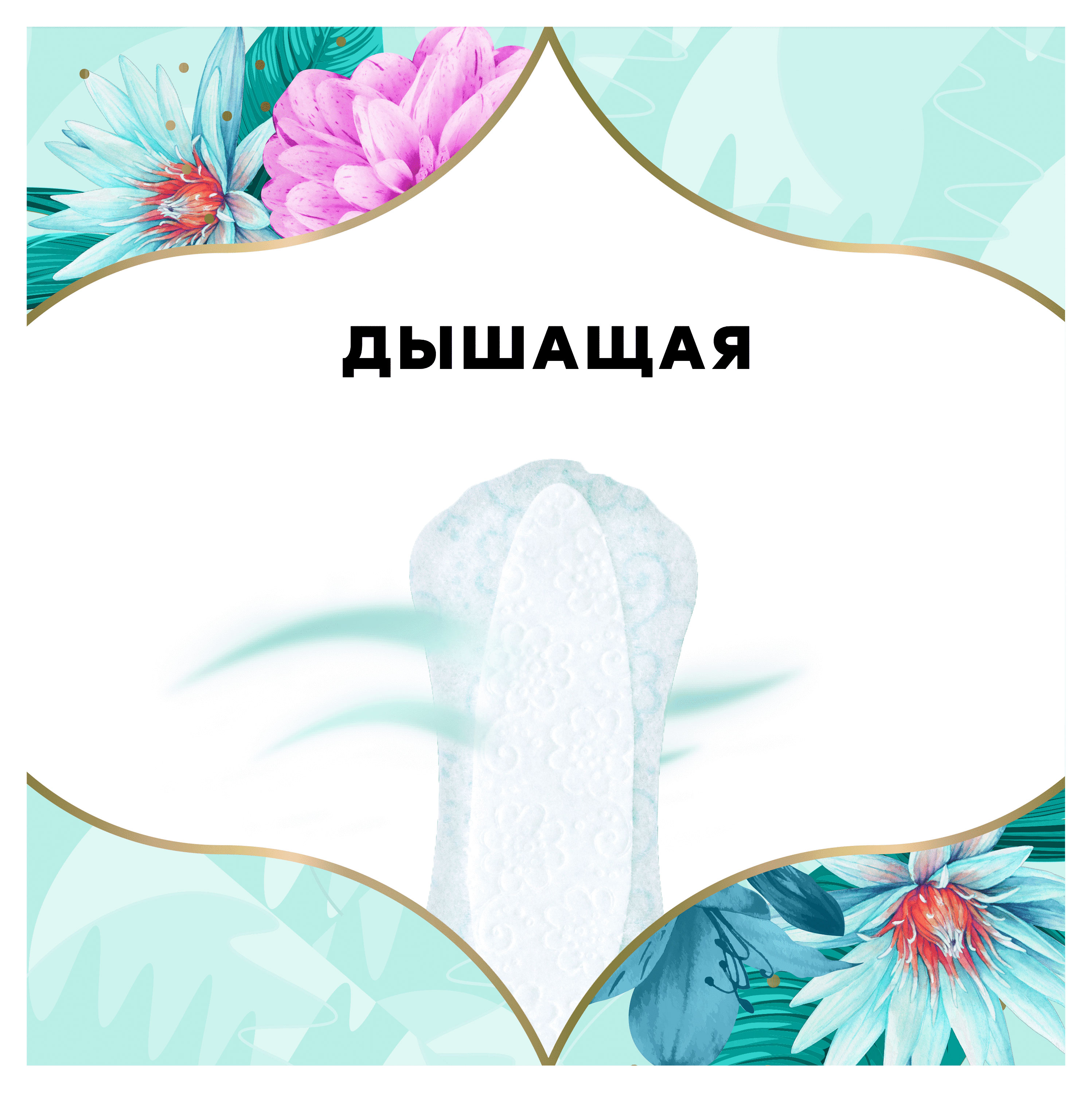 https://www.auchan.ru/files/original/26877921