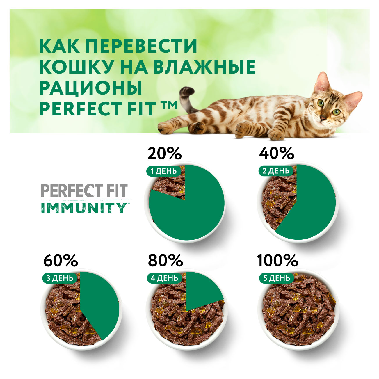 https://www.auchan.ru/files/original/28227164