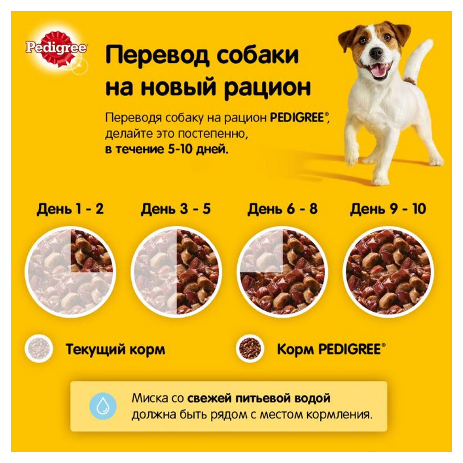 https://www.auchan.ru/files/original/28424581