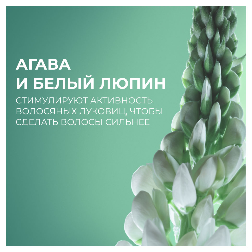 https://www.auchan.ru/files/original/28663382