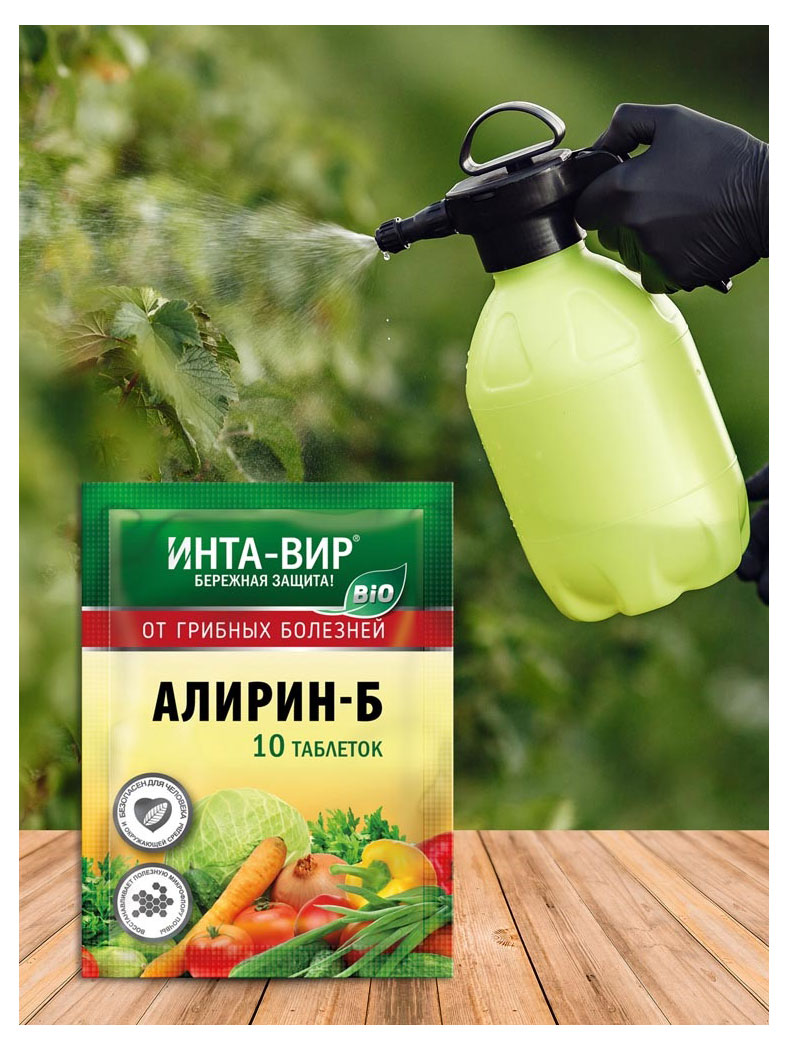 https://www.auchan.ru/files/original/28822083