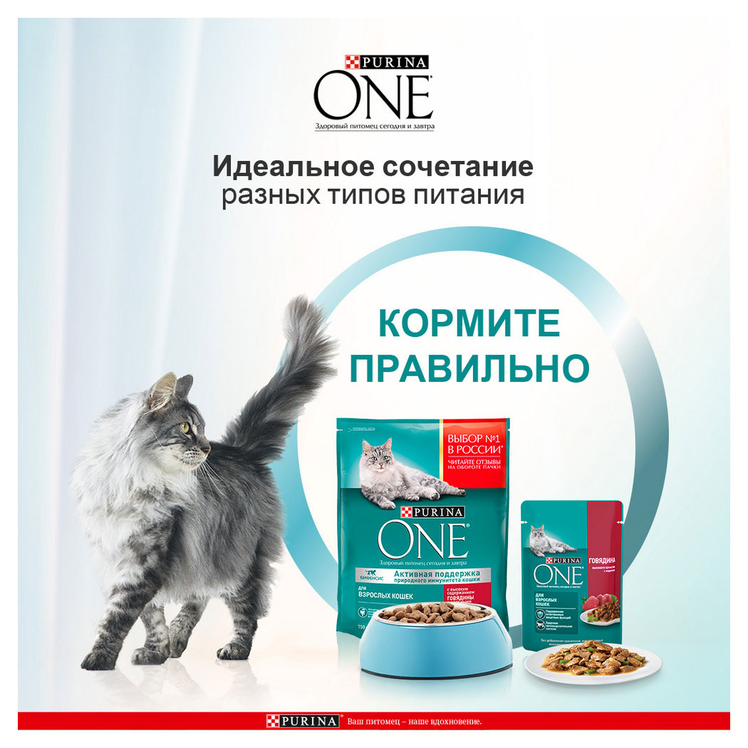 https://www.auchan.ru/files/original/28838707