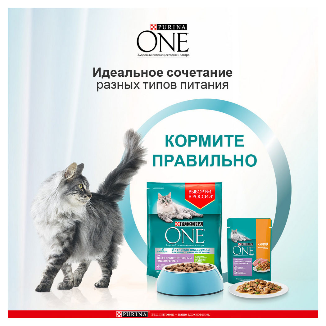 https://www.auchan.ru/files/original/28838736