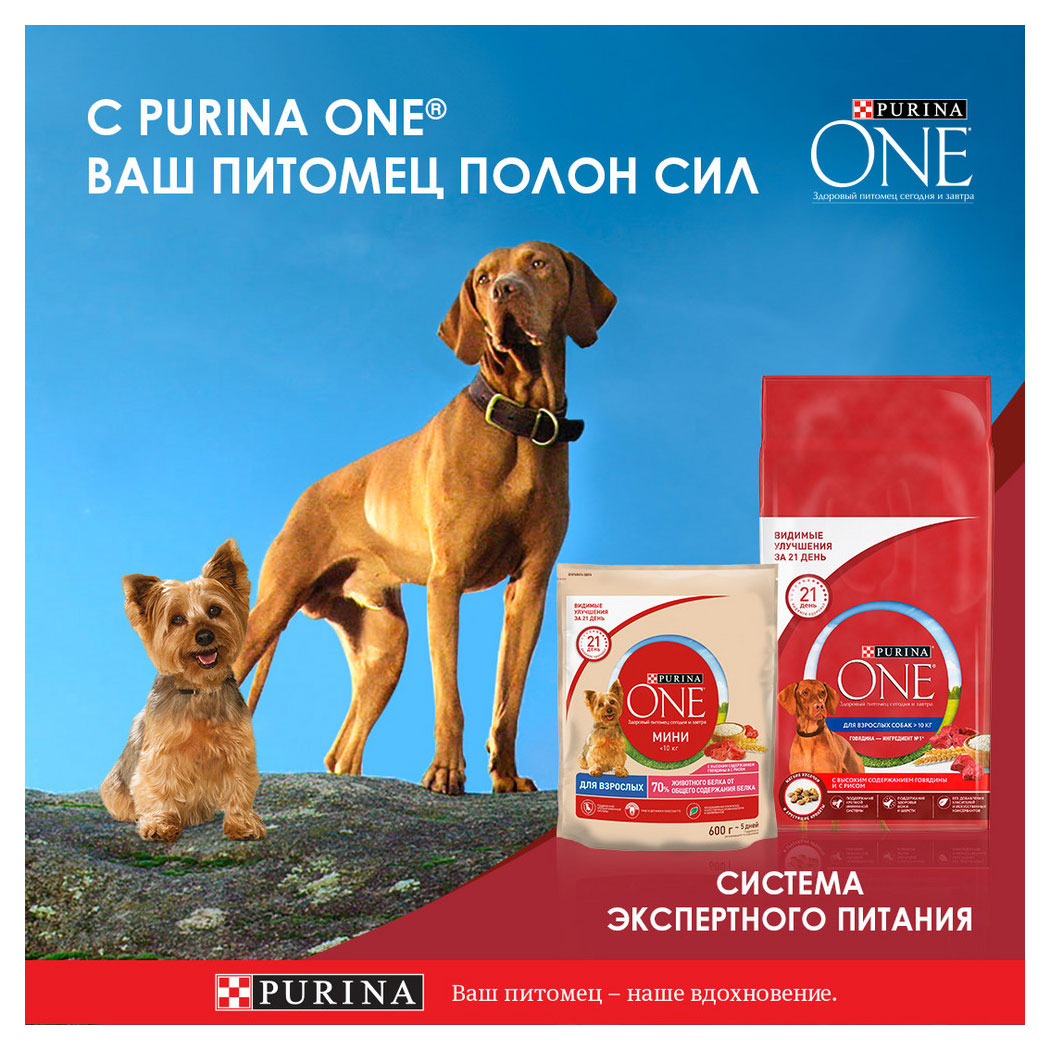 https://www.auchan.ru/files/original/28838898