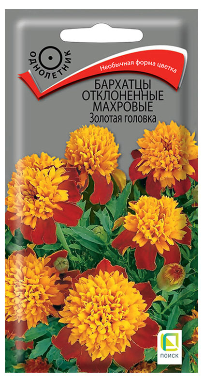 https://www.auchan.ru/files/original/28847634