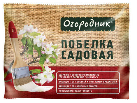 https://www.auchan.ru/files/original/29036781