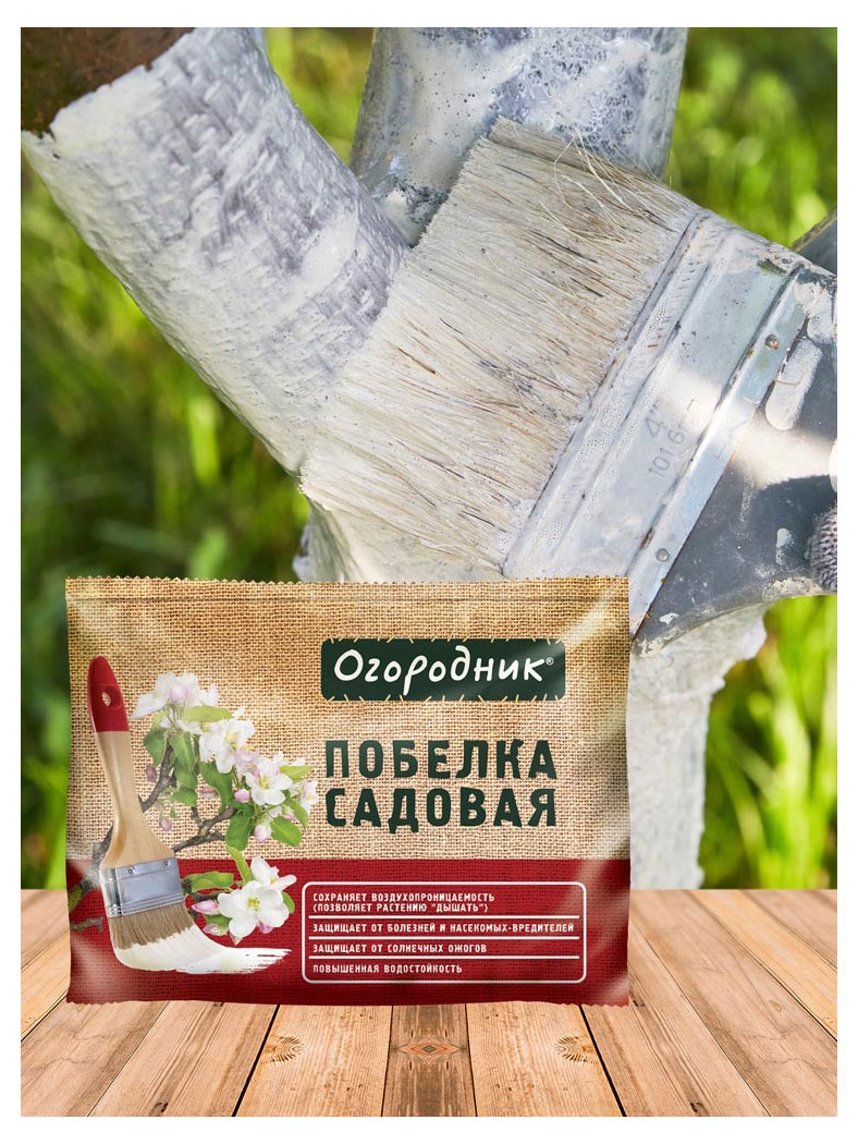 https://www.auchan.ru/files/original/29036869