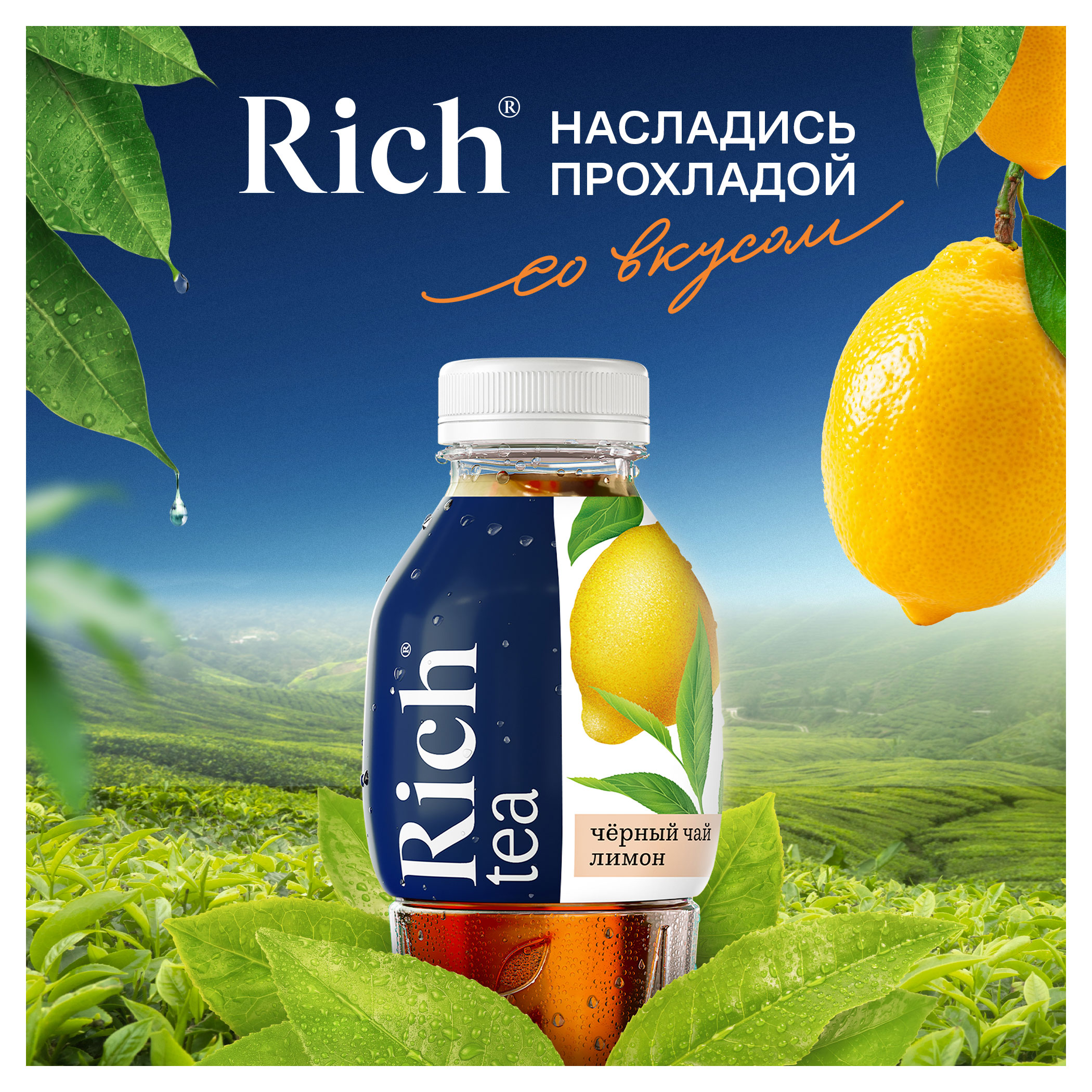 https://www.auchan.ru/files/original/29596029