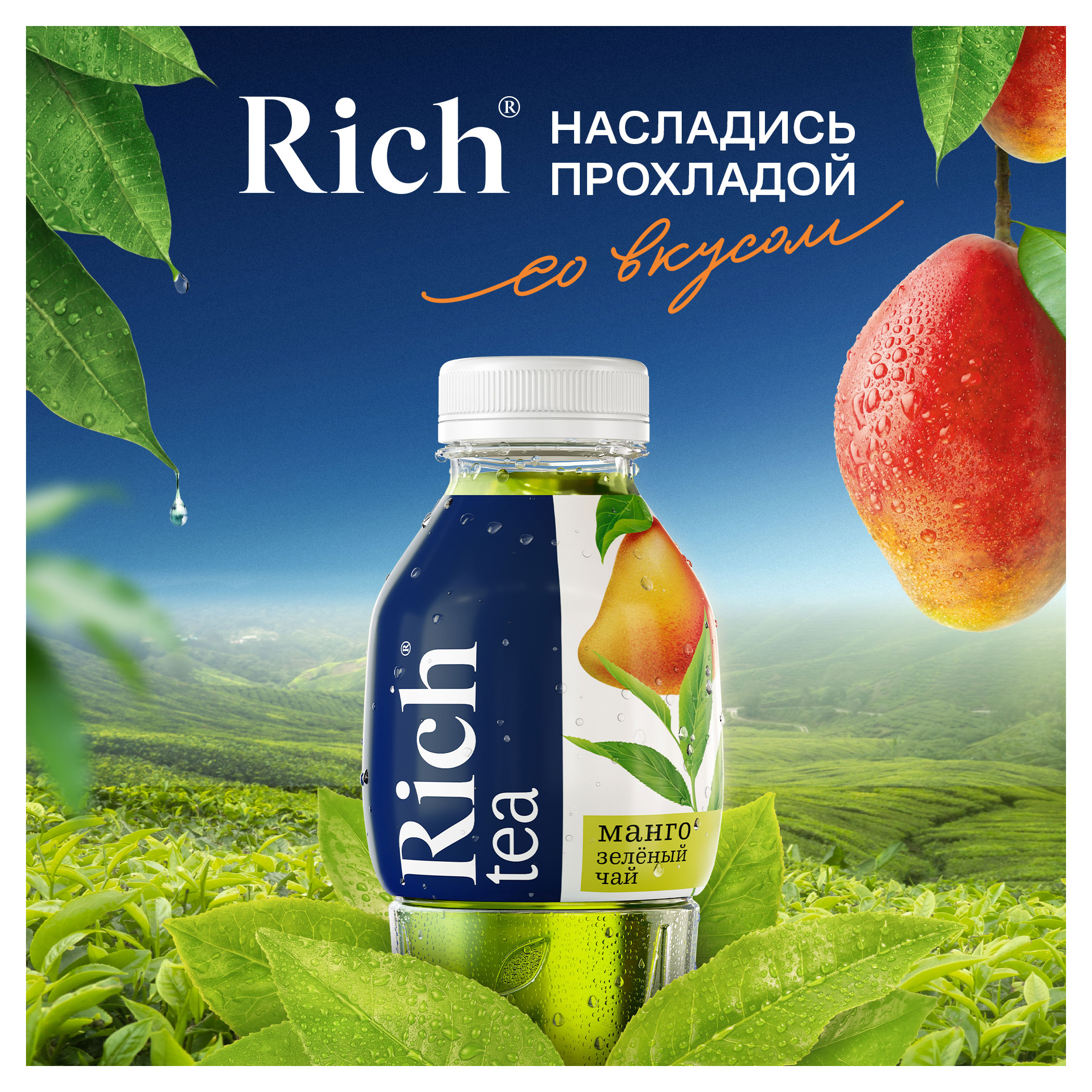 https://www.auchan.ru/files/original/29596169