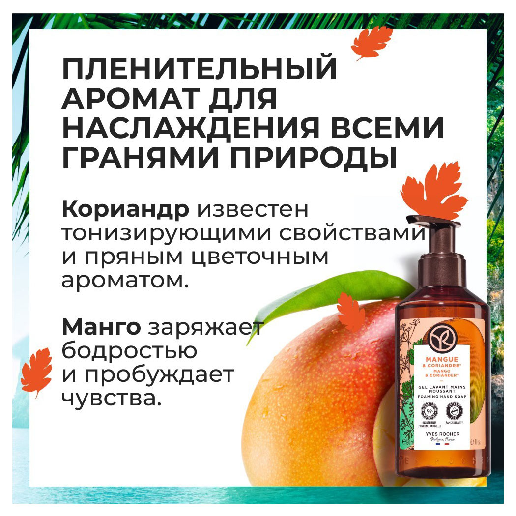 https://www.auchan.ru/files/original/30116793