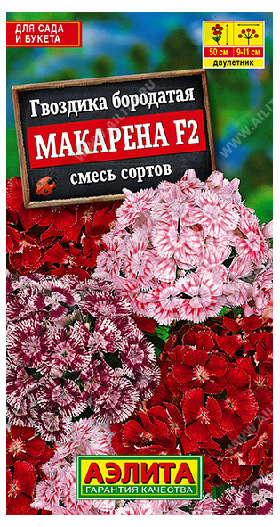 Семена «Аэлита» Гвоздика Макарена F2, 0,05 г