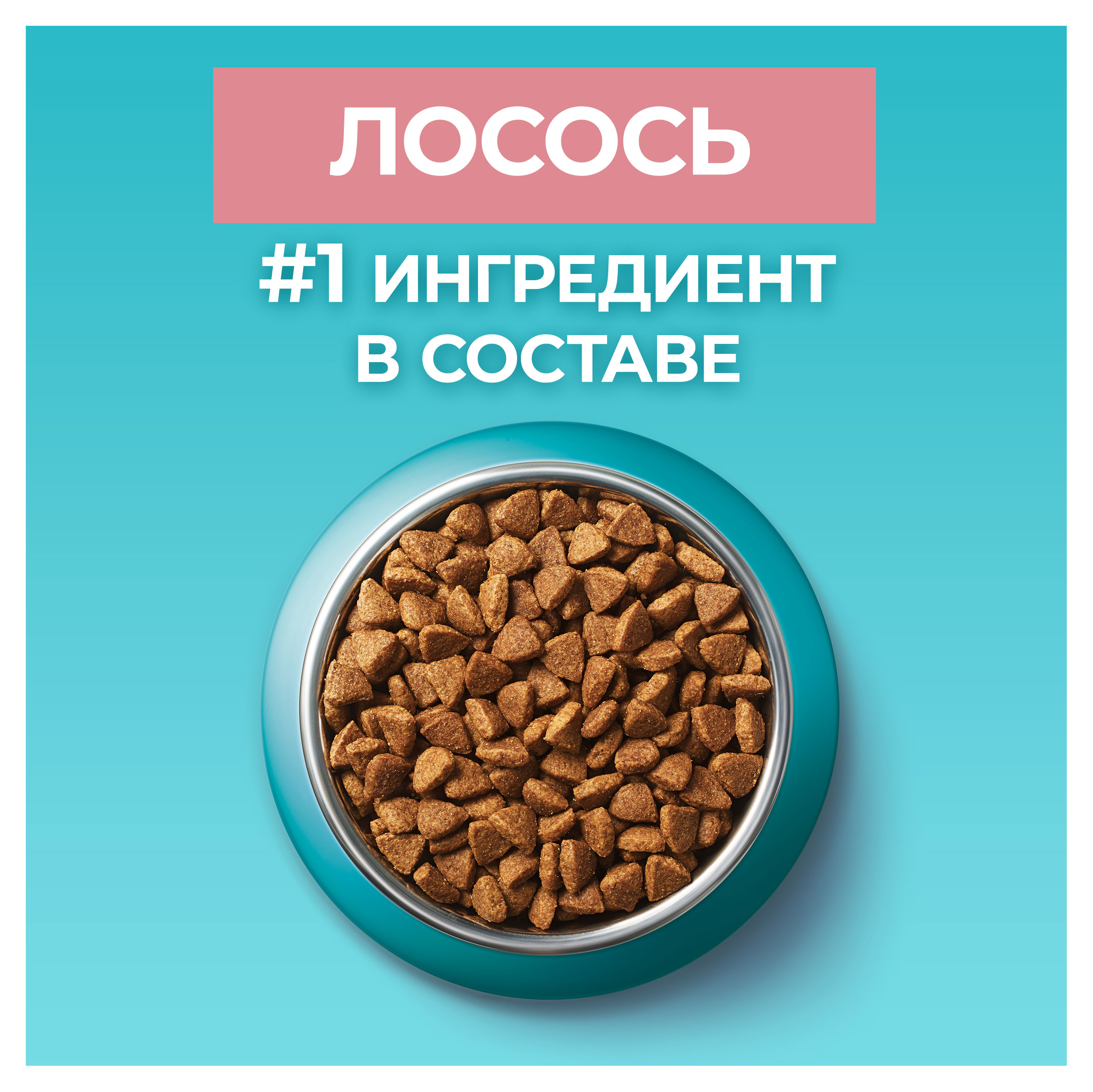 https://www.auchan.ru/files/original/30447172