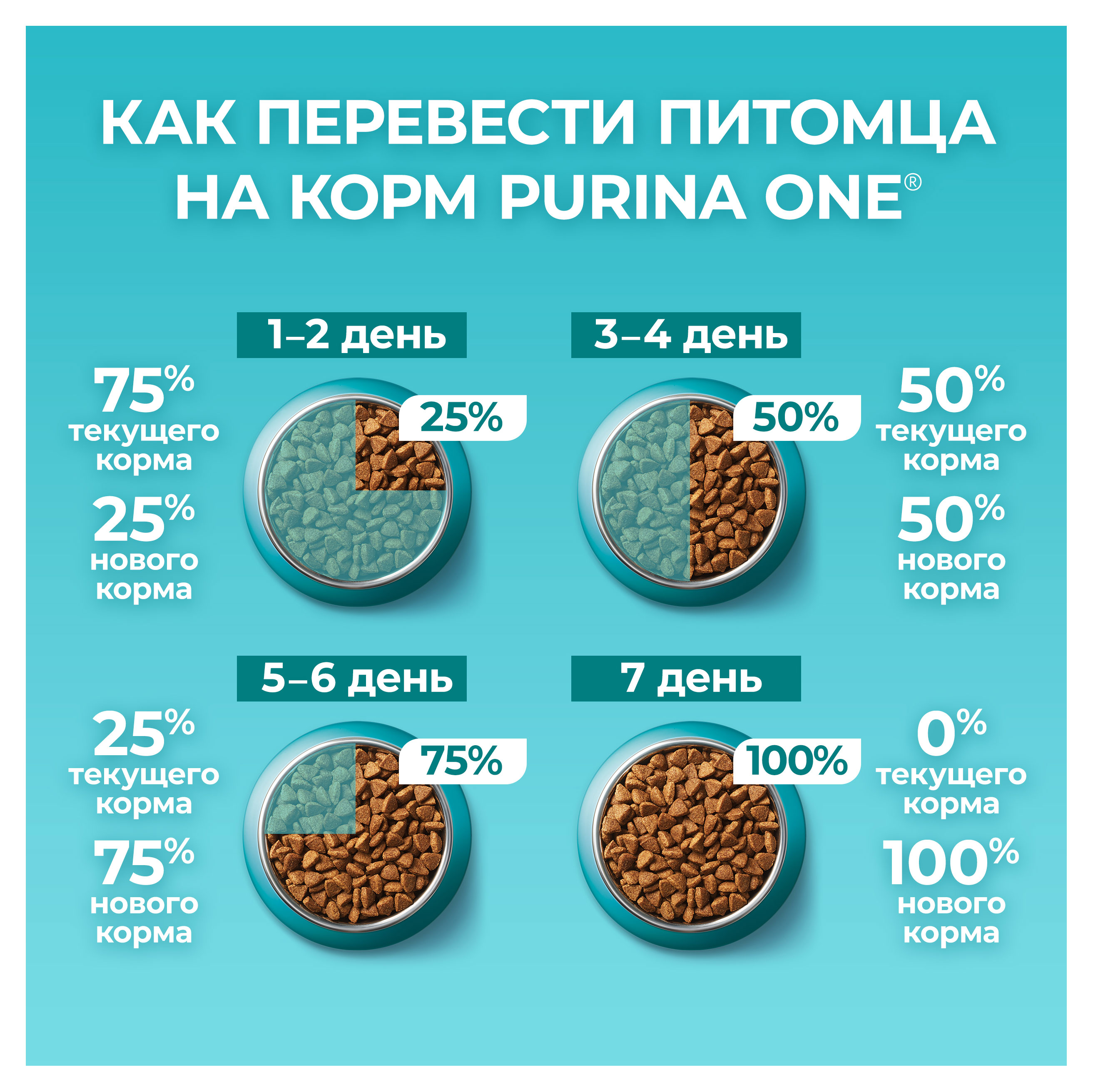 https://www.auchan.ru/files/original/30447204