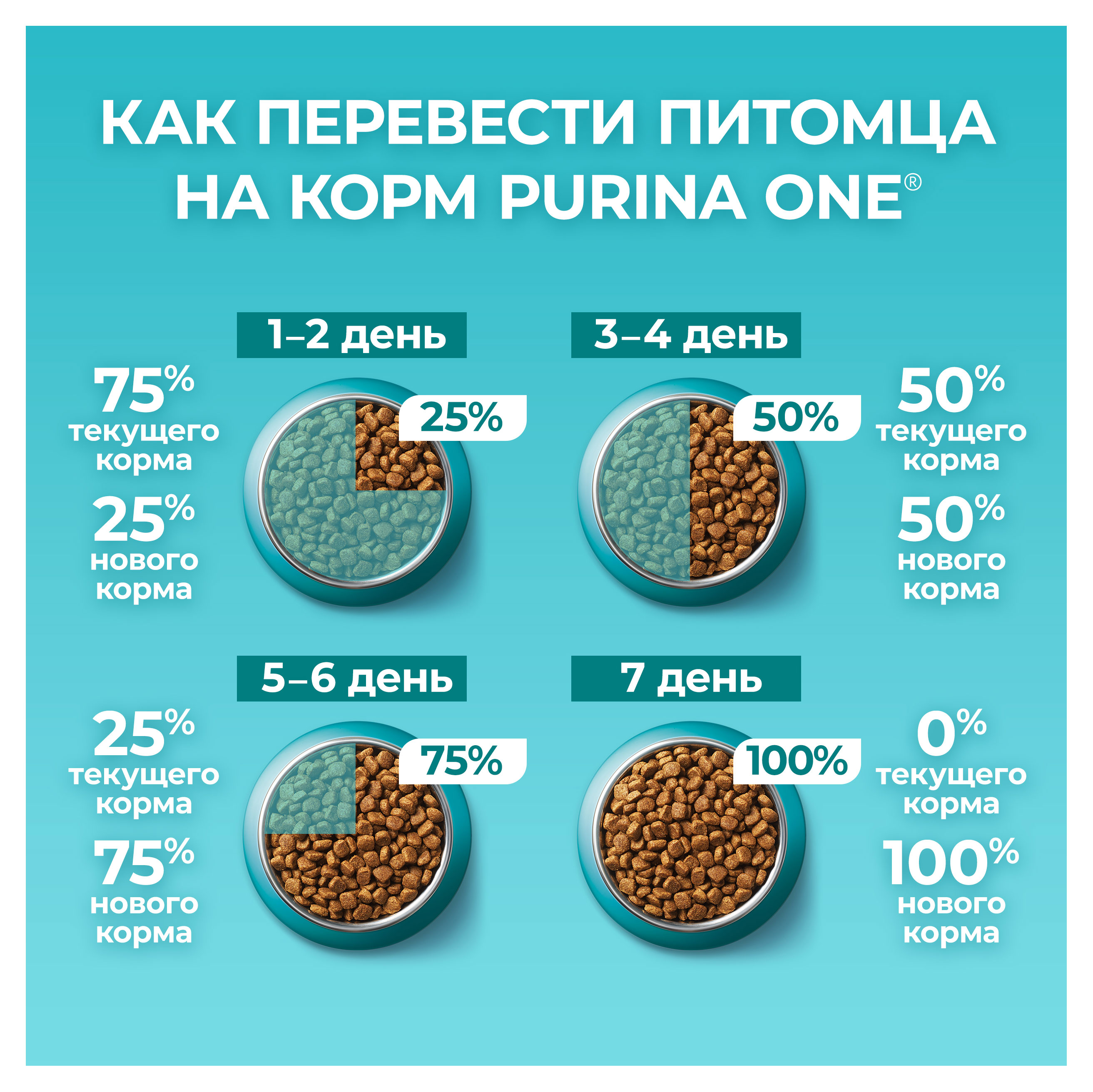 https://www.auchan.ru/files/original/30447376