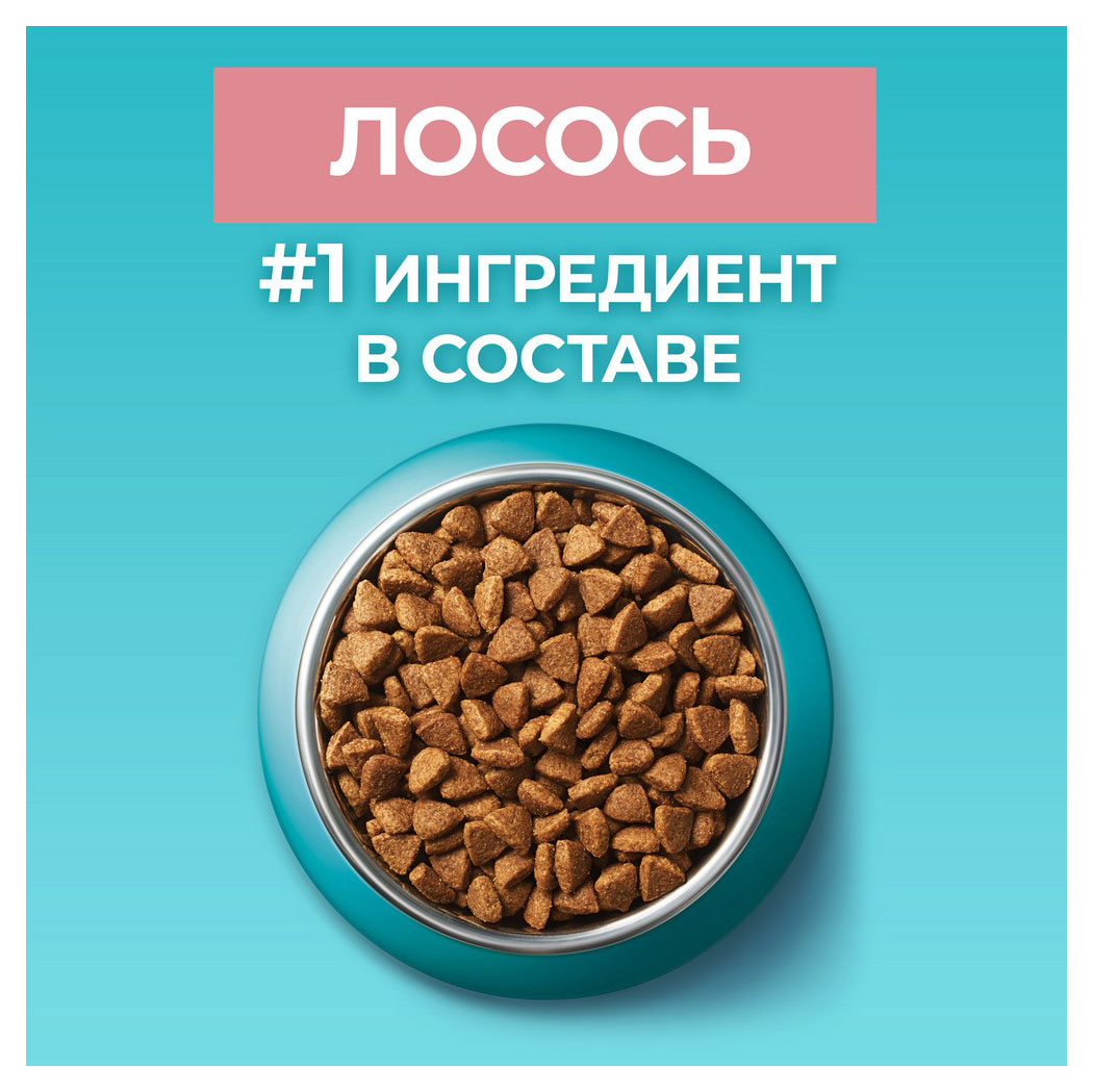 https://www.auchan.ru/files/original/30471504