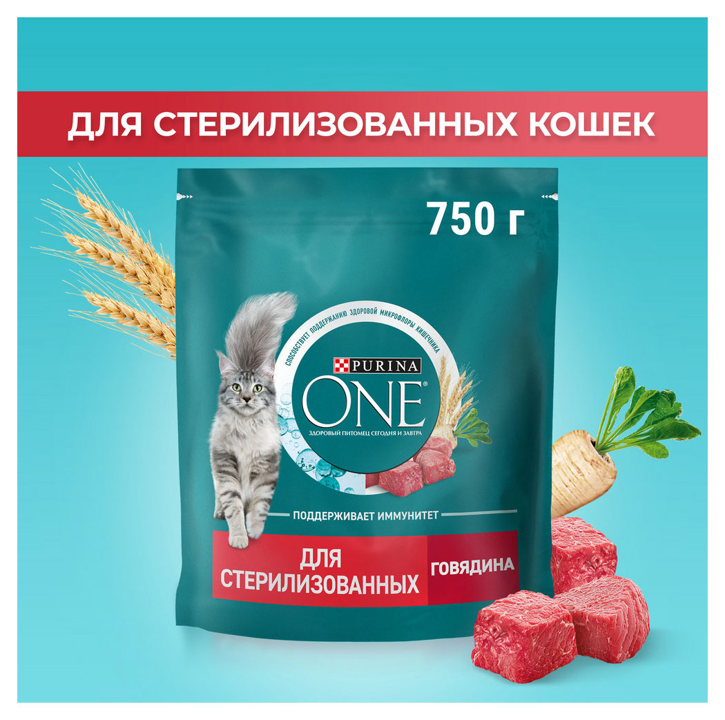 https://www.auchan.ru/files/original/30592224