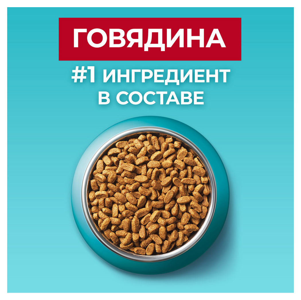 https://www.auchan.ru/files/original/30592264