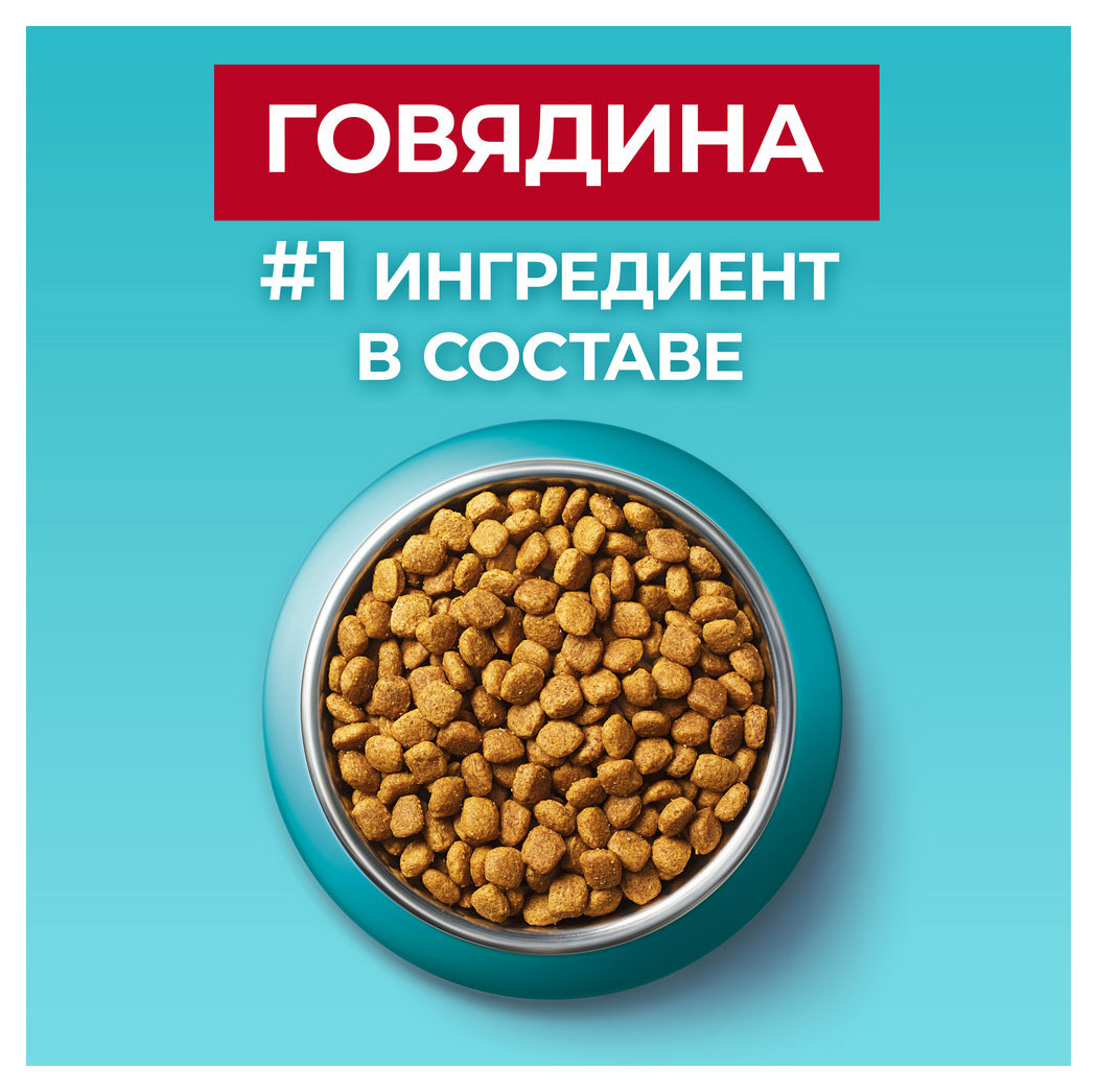 https://www.auchan.ru/files/original/30592860