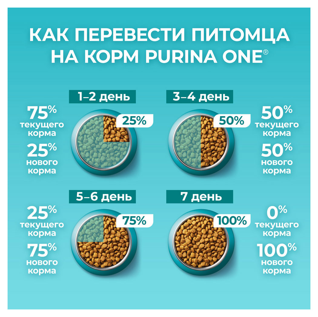 https://www.auchan.ru/files/original/30592912