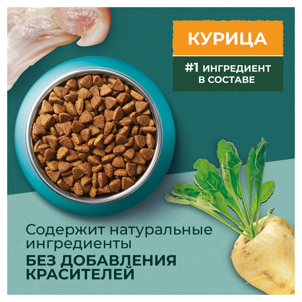 Купить Сухой корм для кошек Purina ONE Природа Здоровья со спирулиной и  курицей, 180 г (220750) в интернет-магазине АШАН в Москве и России