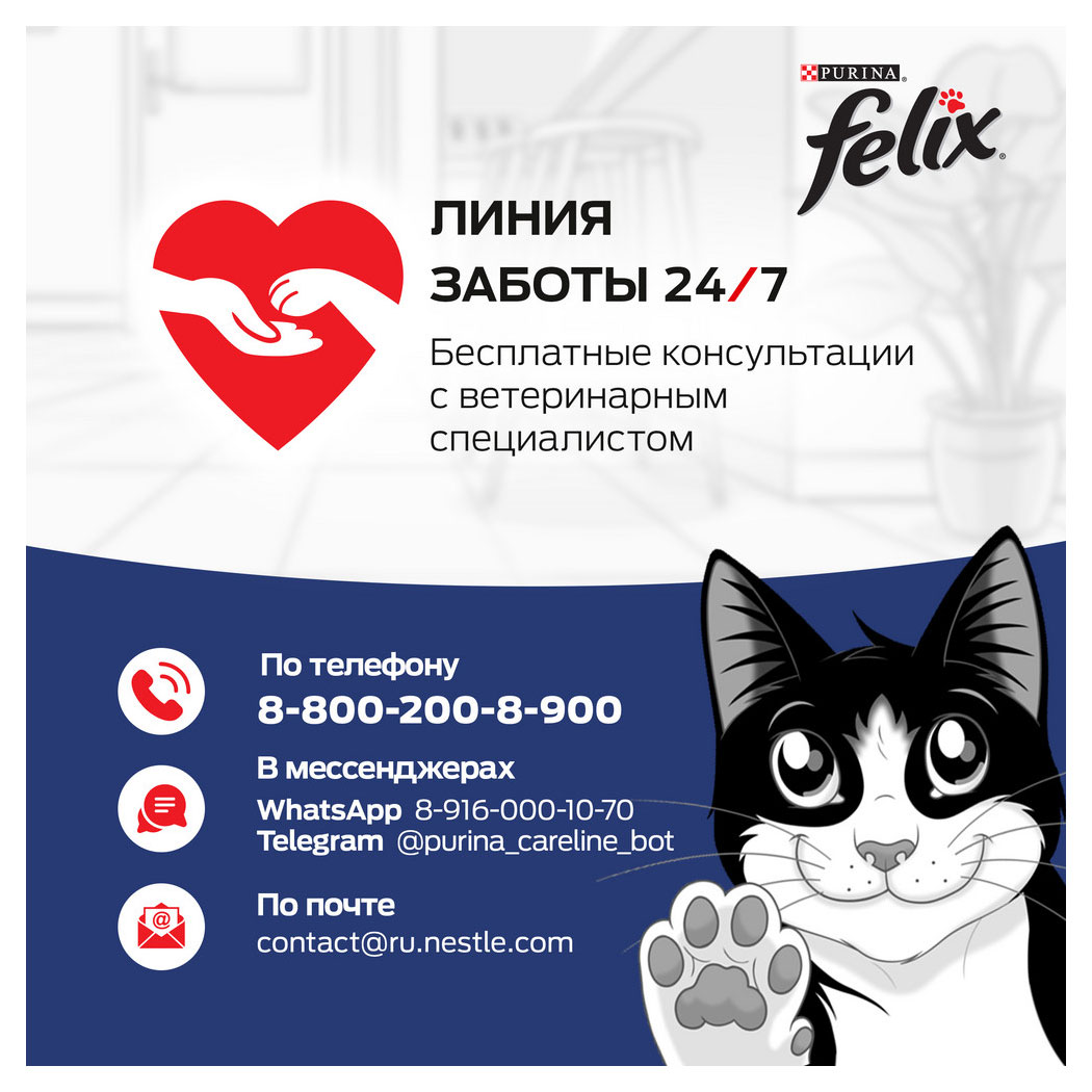 https://www.auchan.ru/files/original/30894764