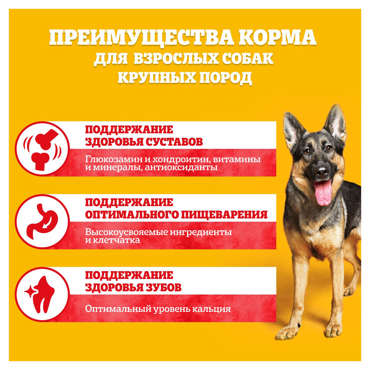 https://www.auchan.ru/files/original/31352336