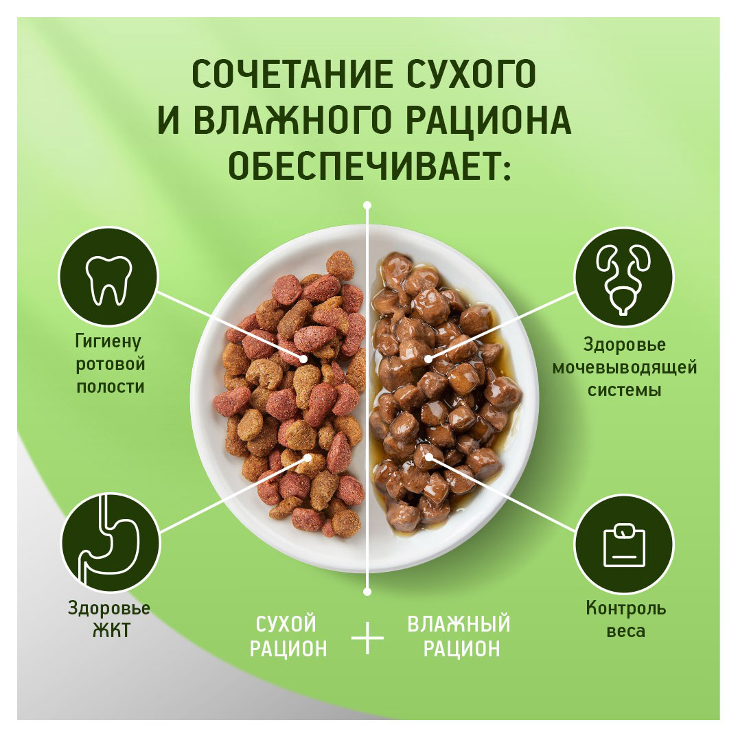 https://www.auchan.ru/files/original/31352456