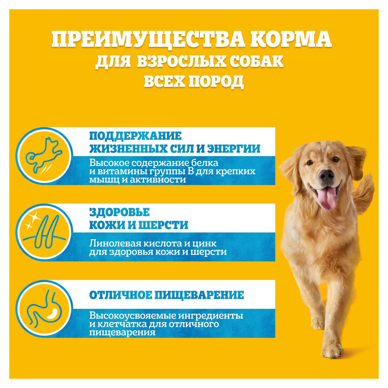 https://www.auchan.ru/files/original/31352632