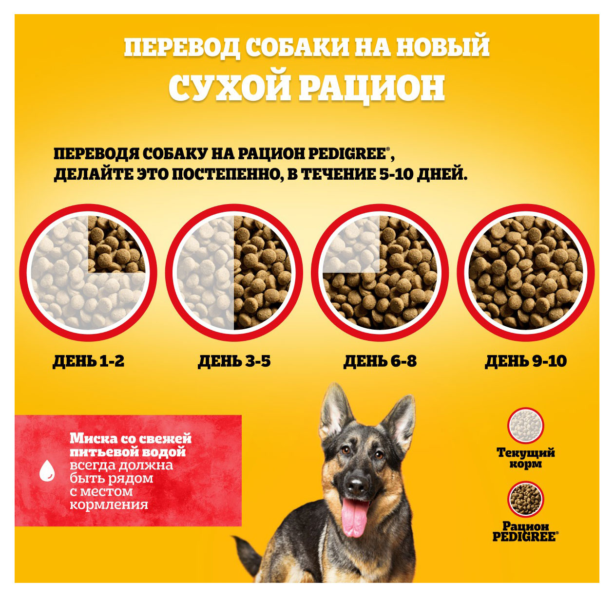 https://www.auchan.ru/files/original/31354092