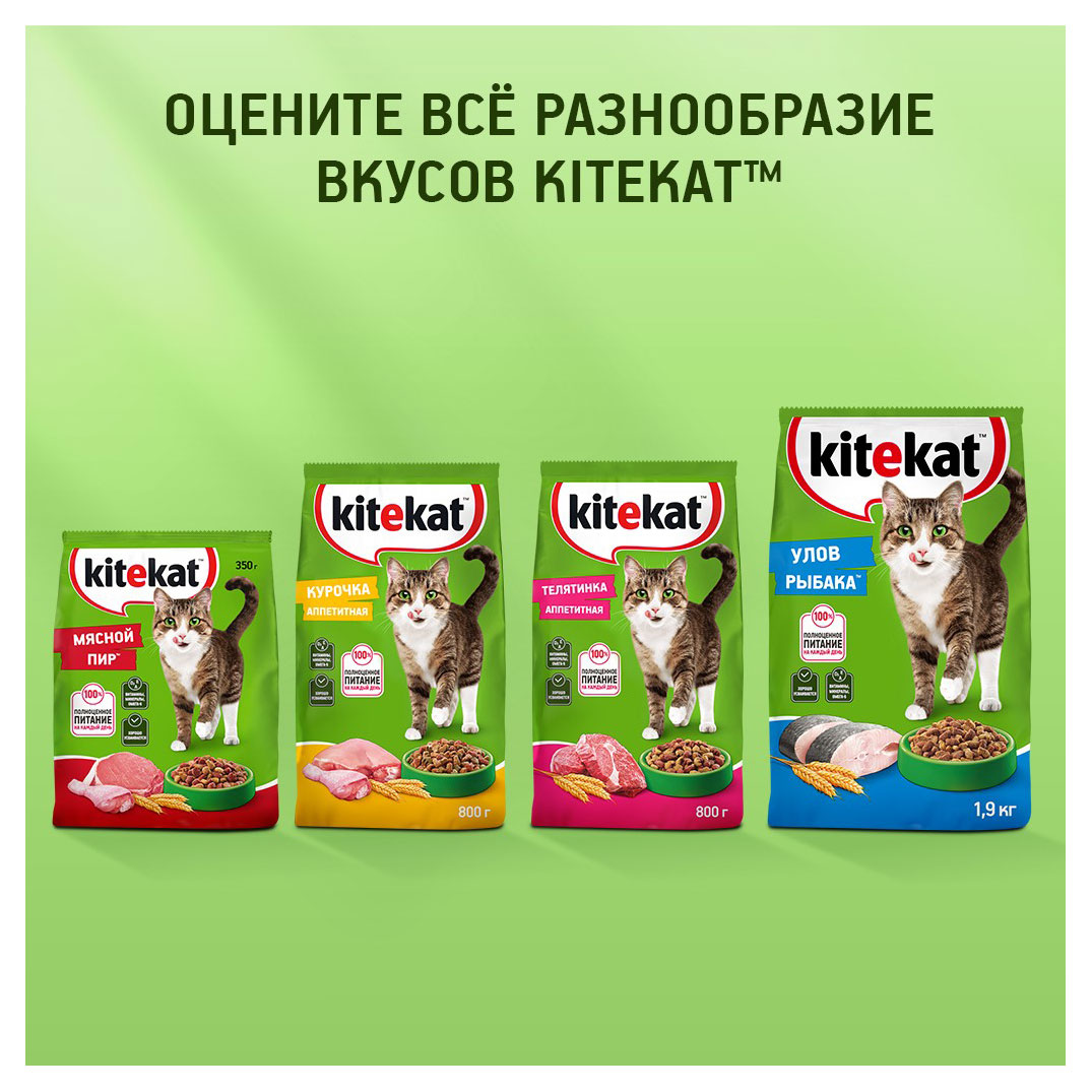 Купить Сухой Сухой корм для кошек Kitekat Курочка аппетитная, 800 г  (636035) в интернет-магазине АШАН в Москве и России