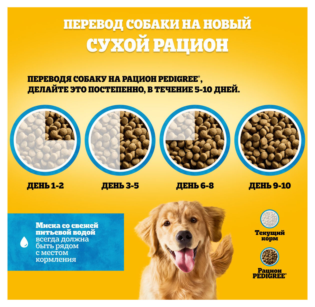 https://www.auchan.ru/files/original/31355940