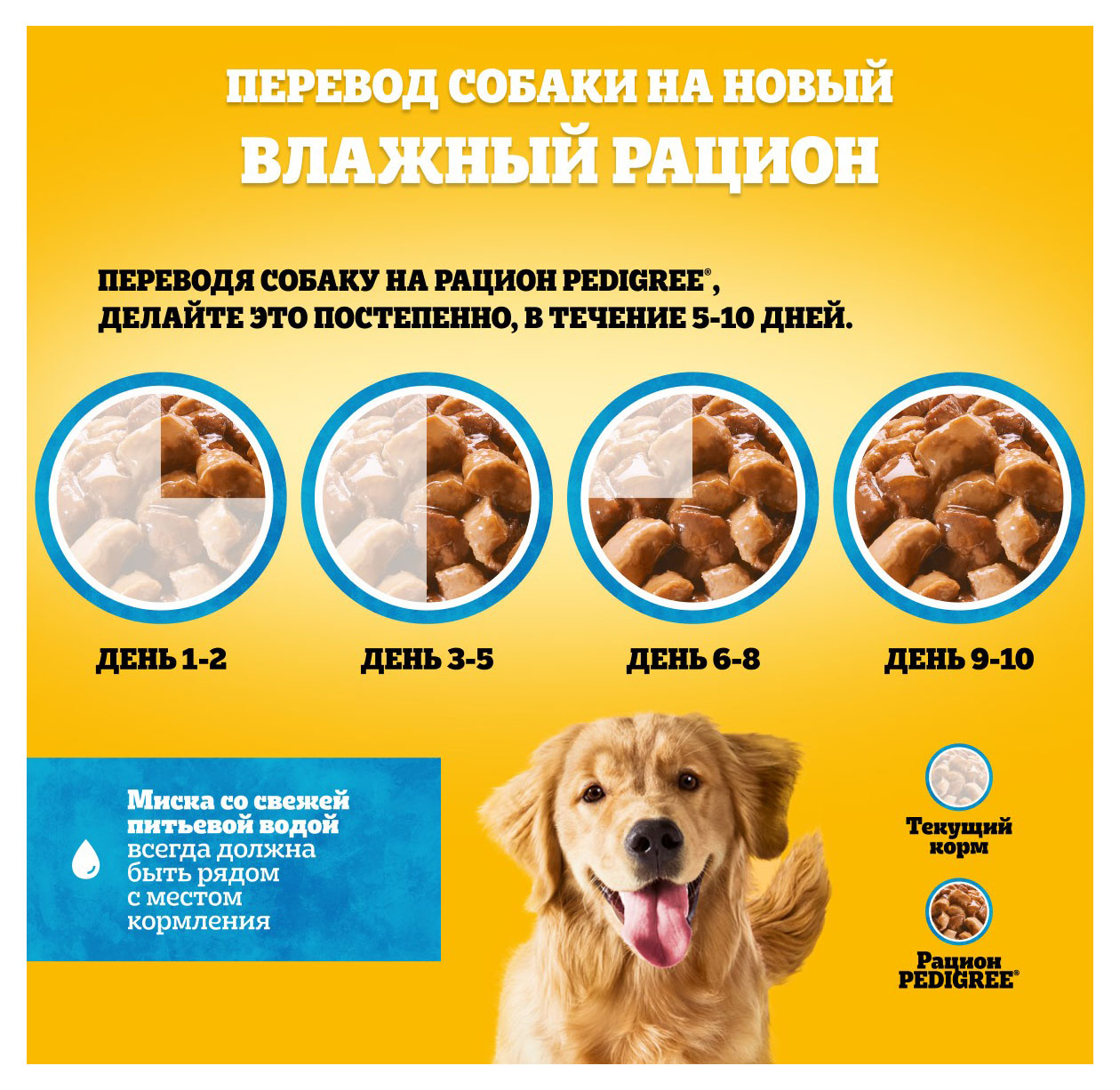 https://www.auchan.ru/files/original/31356896