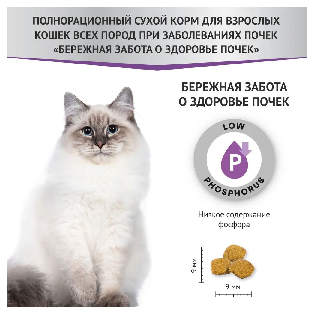 https://www.auchan.ru/files/original/31500504