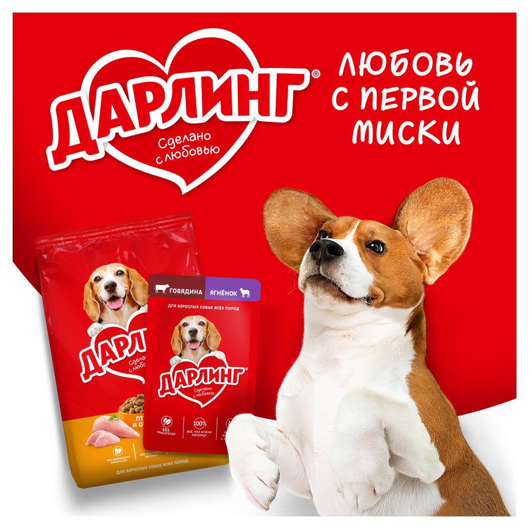 https://www.auchan.ru/files/original/31503280